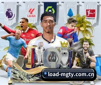 load-mgty.com.cn APP